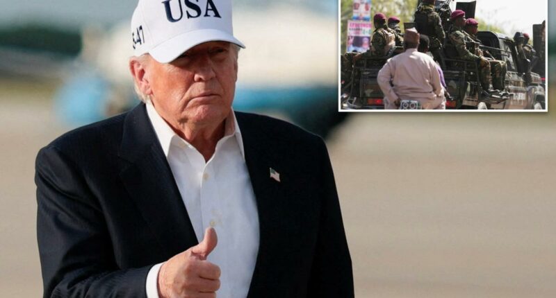 US and Nigerian forces âeliminateâ top ISIS leader Abu Bilal al Minuki in Africa mission, Trump says